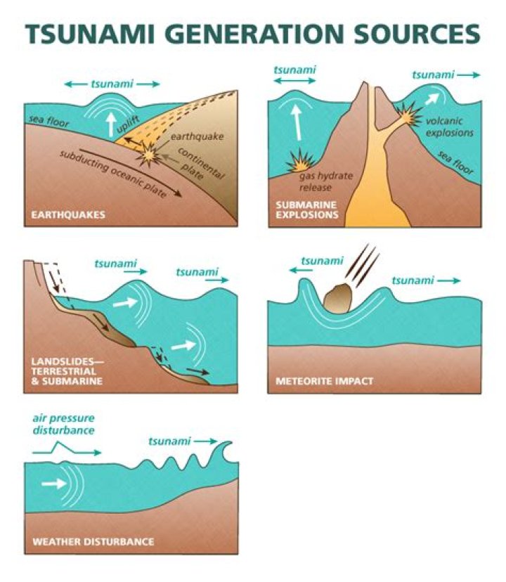 What are the stage of tsunami
