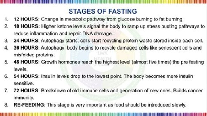 What are the stages of fasting