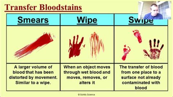 What are the three main categories of bloodstains