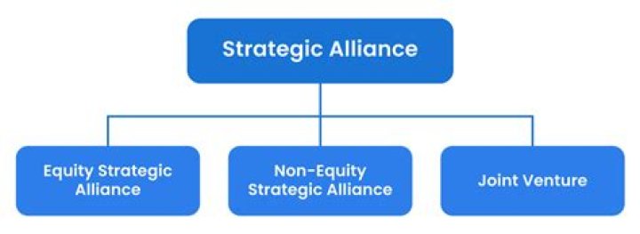 What are the three major types of strategic alliances firms form for the purpose of developing a competitive advantage
