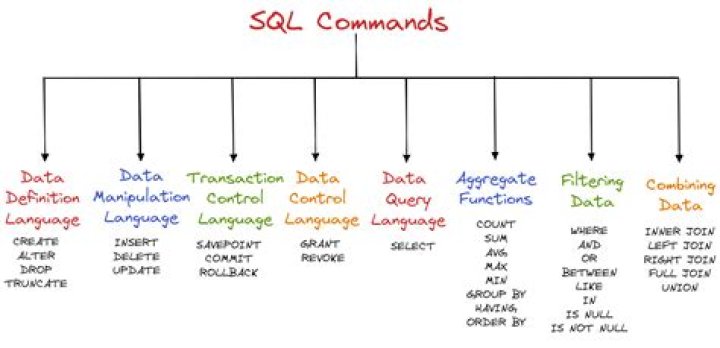 What are the types of commands