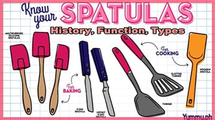 What are the types of spatula