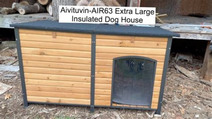 What are the warmest dog houses