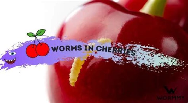 What are the worms in cherries