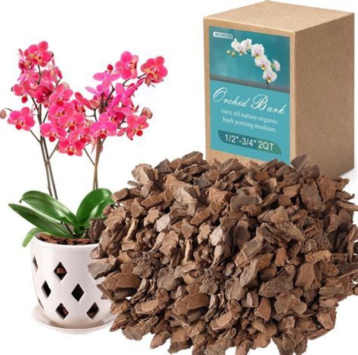 What bark is best for orchids