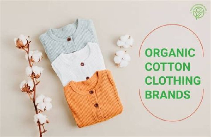 What brands use organic cotton