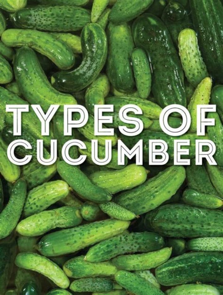 What can Cucumbers be used for