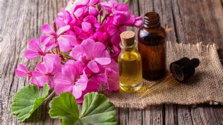 What can geranium oil be used for