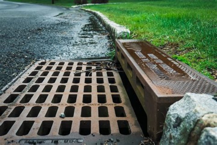 What can go down a storm drain