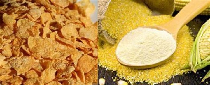 What can I use instead of corn