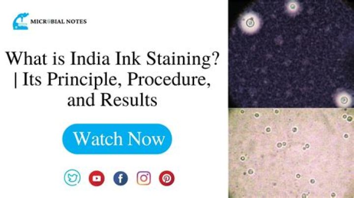 What can India ink be used for