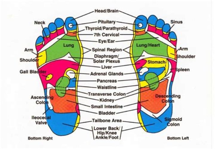What Can reflexology help with