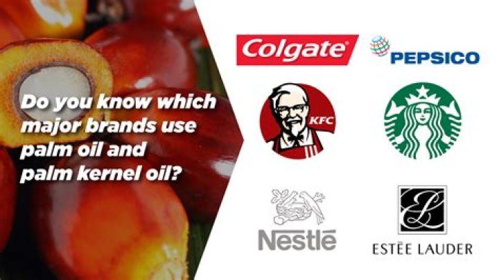 What candy companies use palm oil