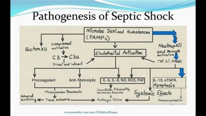 What category is septic shock