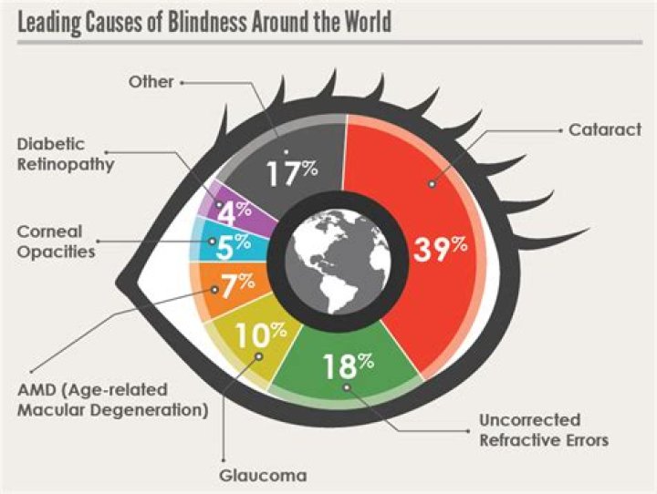 What causes a lamb to go blind