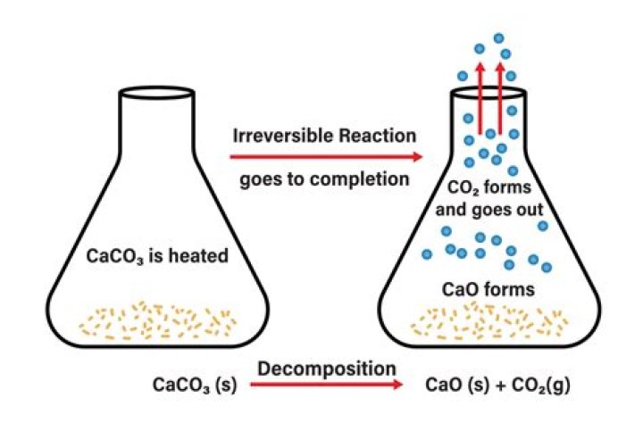 What causes a reversible reaction