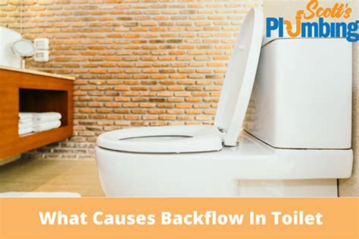 What causes backflow in toilet