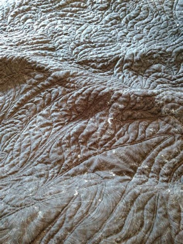 What causes bearding in quilts