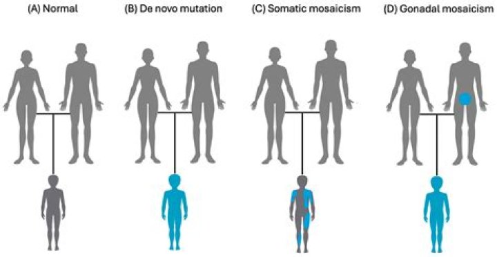 What causes genetic mosaicism