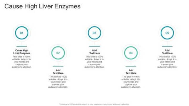 What causes high liver enzymes