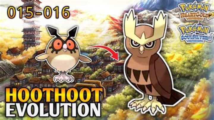 What city does Hoot take place in