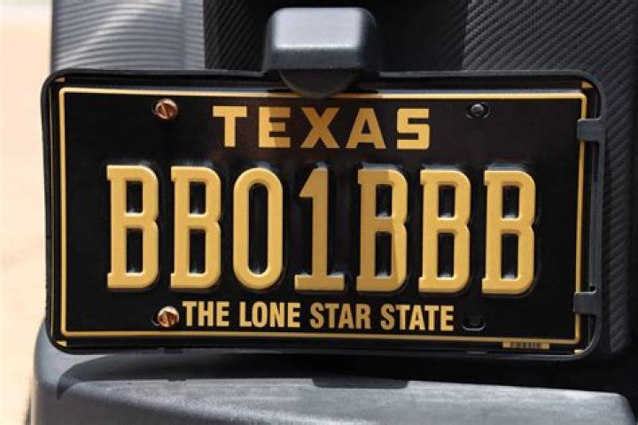 What color are Texas license plates