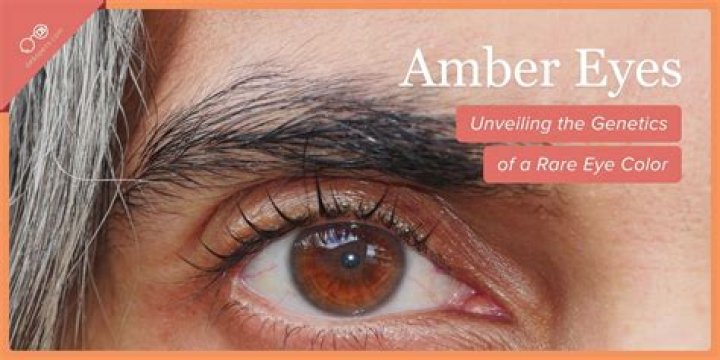 What color is amber in glasses