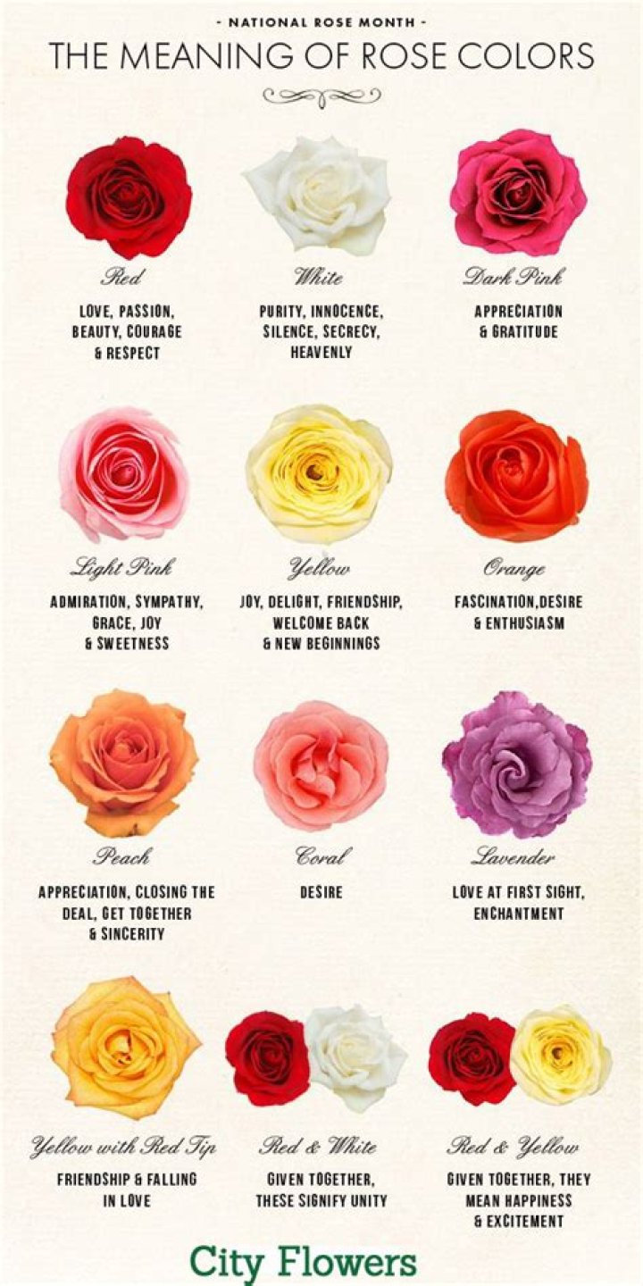 What color roses mean jealousy