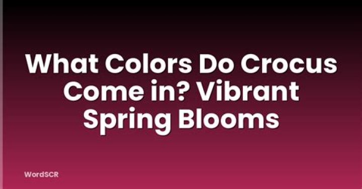 What colors do crocus come in