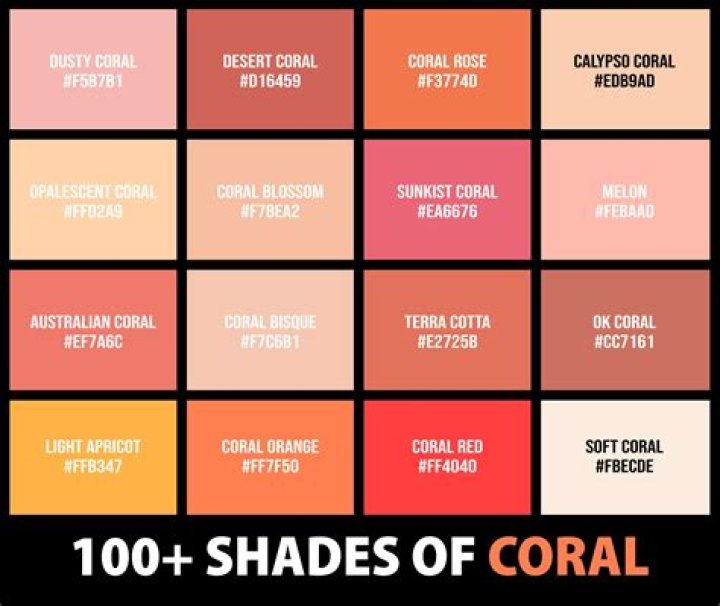 What Colour does Coral go with