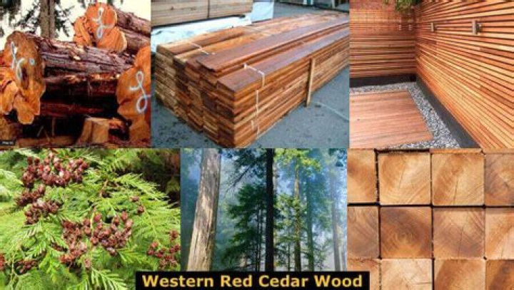 What Colour is cedar material