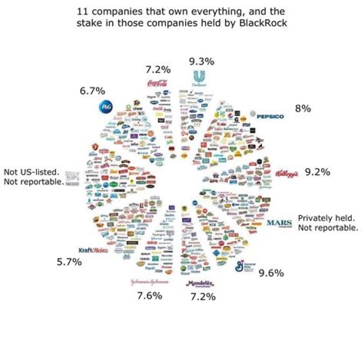 What company owns the Dollar Tree