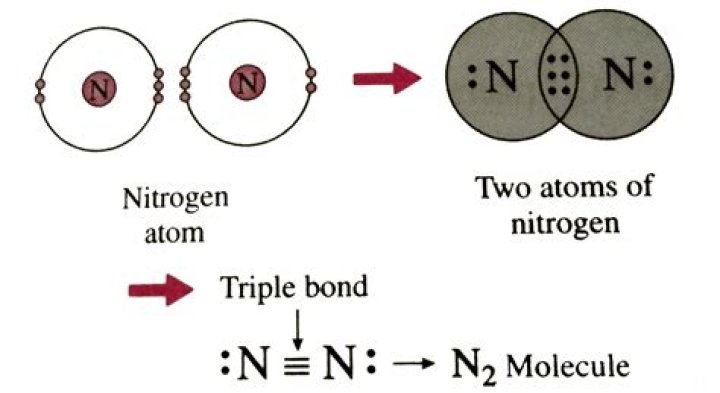 What compounds are in nitrogen