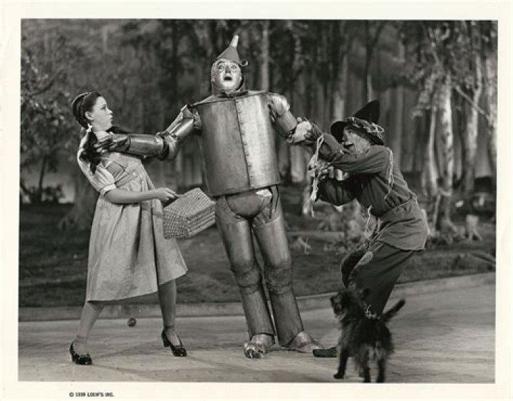 What did oz say to the Tin Man