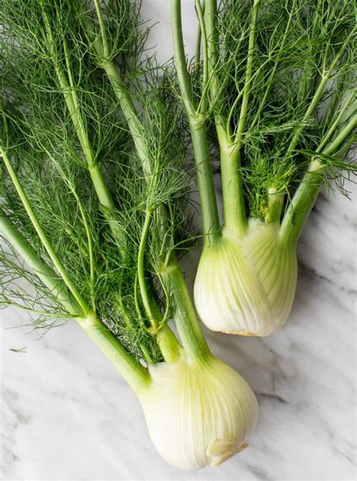 What dishes is fennel used in