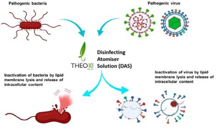 What disinfectant kills Rotavirus
