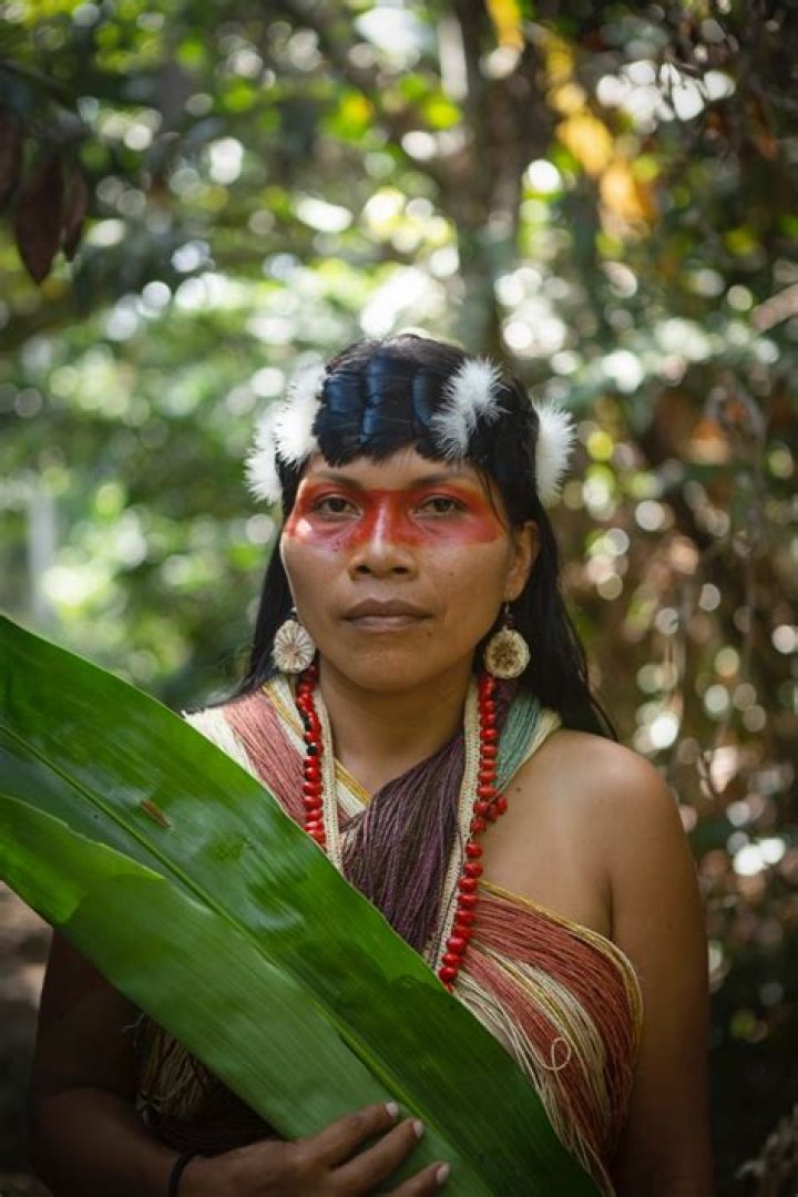 What do the Huaorani tribe eat
