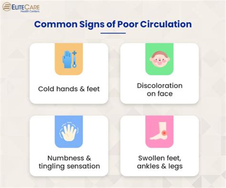 What do you understand by circulation of elite