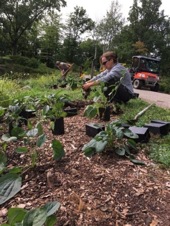 What does a horticulturalist do