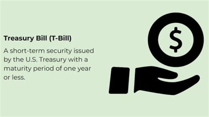 What does a Treasury bill pay