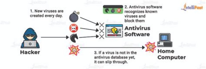 What does an antivirus do
