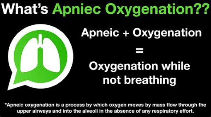 What does apneic oxygenation mean