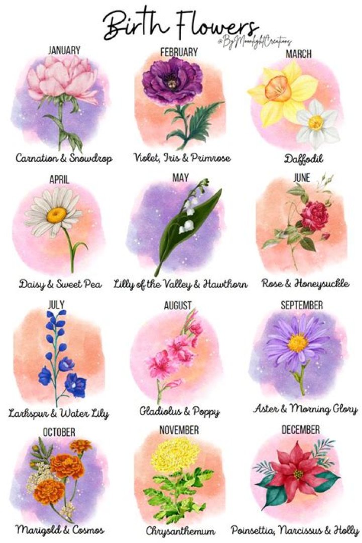 What does birth flower reveal