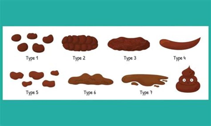 What does coypu poo look like