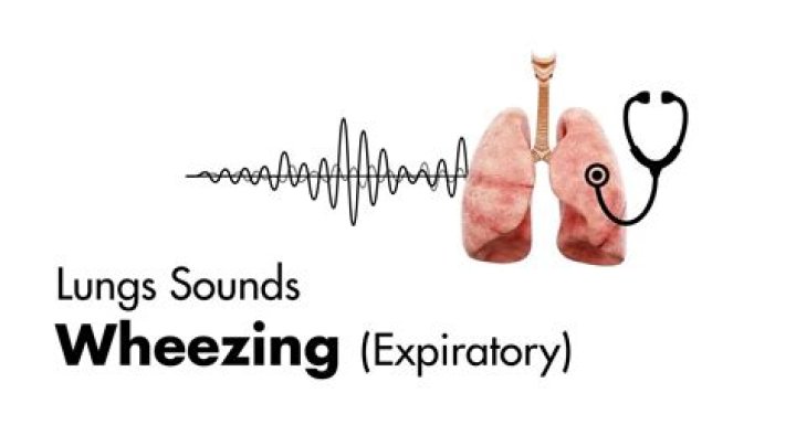 What does expiratory wheezing sound like