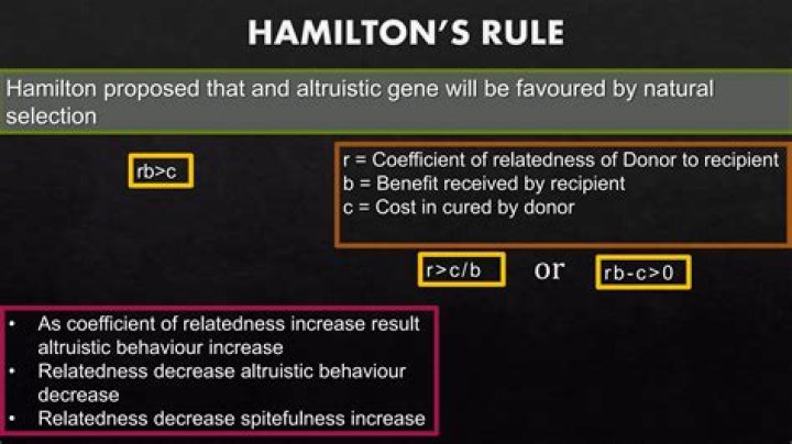 What does Hamiltons Rule predict