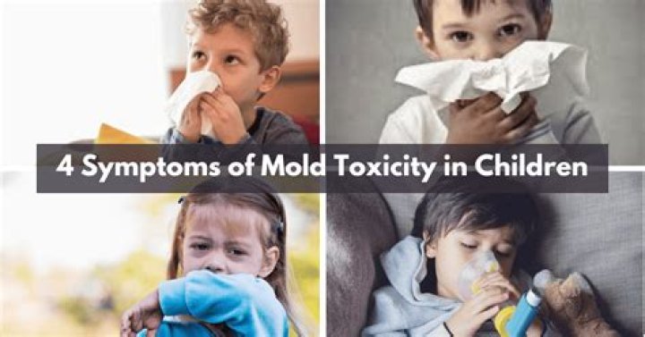 What does it mean to mold a child