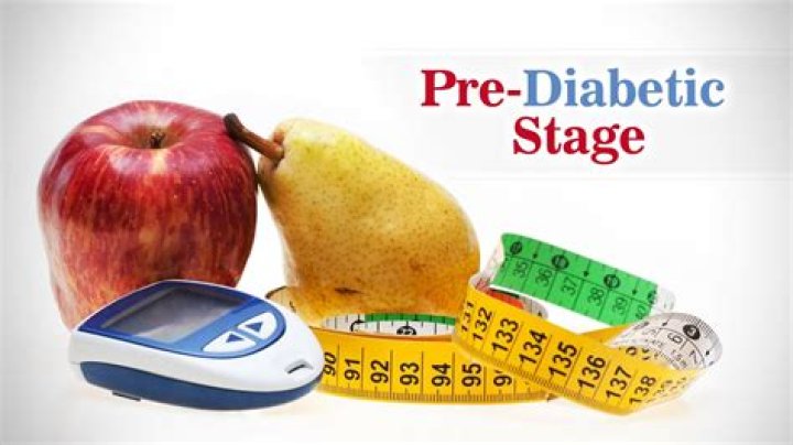 What does pre diabetic stage mean