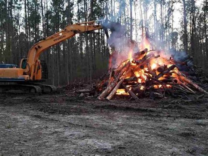 What does raking mean in forestry