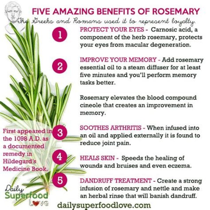 What does rosemary do to hormones